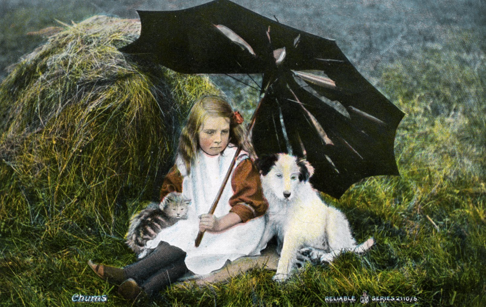 Vintage Postcard 'Reliable Series' Little Girl and Puppy under Umbrella 'Chums'