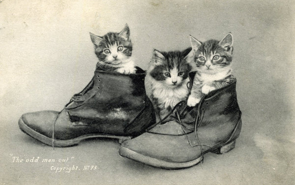 Austin's Post Card Photograph Image of Kittens in Pair of Boots 'The odd man out'