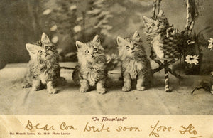 Wrench Series Vintage Kitten Postcard 'In Flowerland'