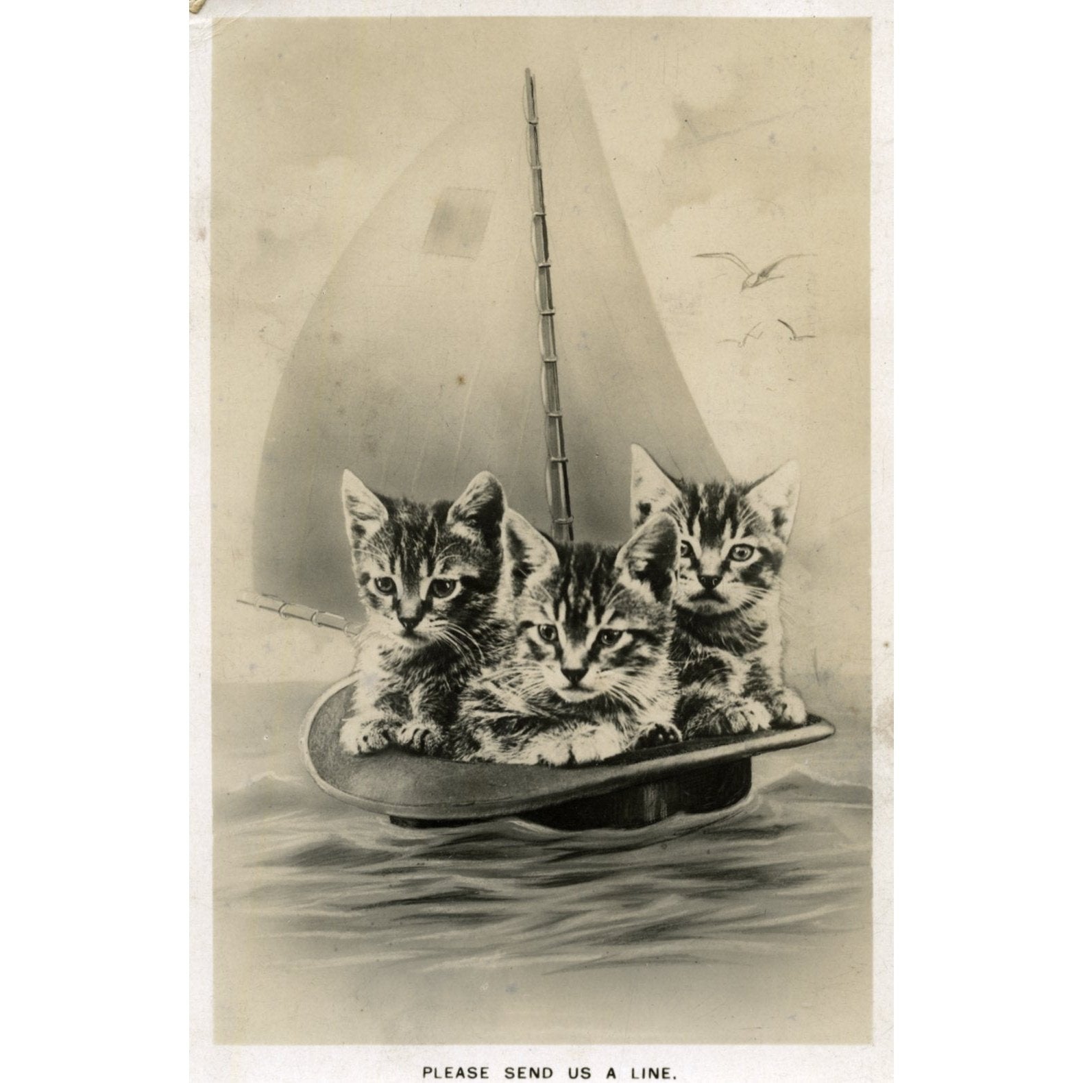 W. McKenzie & Co., London Vintage Postcard Kittens in Sailing Boat 'Please send us a line'