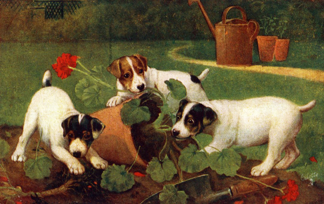 Raphael Tuck & Sons Puppy Dog Postcard 'When Dogs are Puppies'