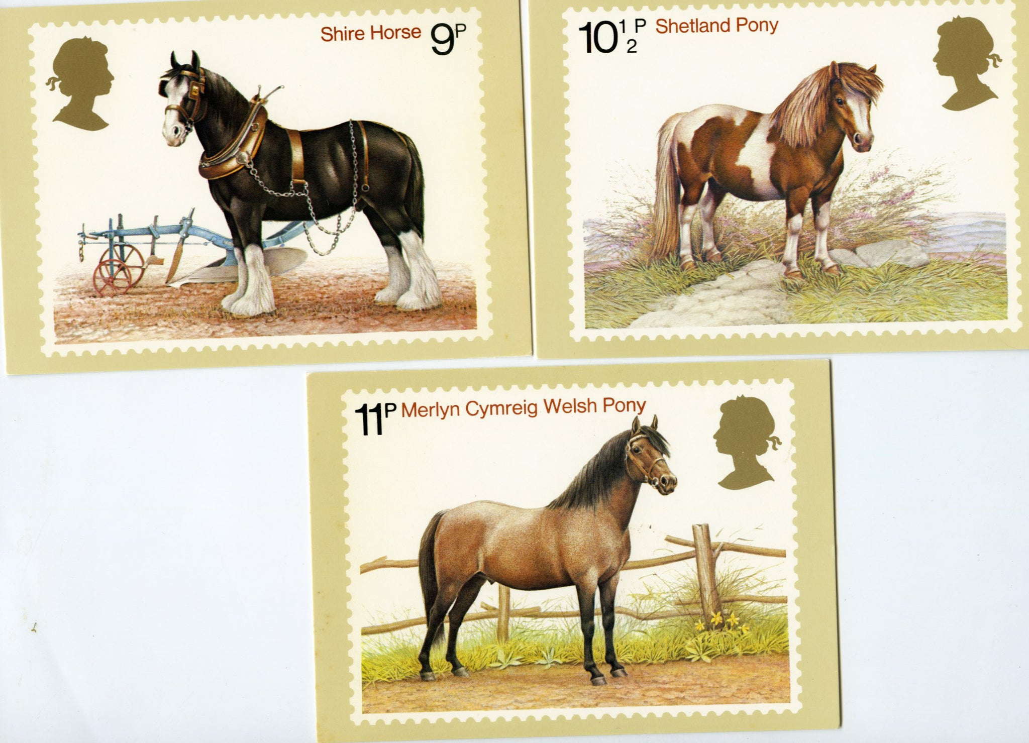 Post Office Picture Cards Series 'Horses' Postcard Set (3)