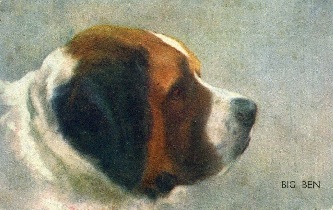 Photochrom Co. Ltd. 'Celesque Series' Postcard St. Bernard Dog 'Big Ben'