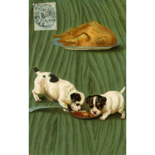 Antique Puppy Dog Postcard Regular price