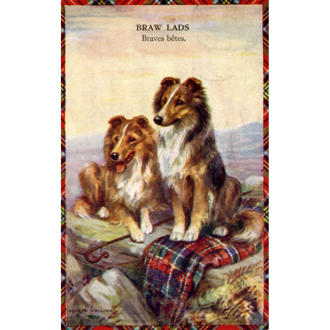 Valentine & Sons 'Scotch Dog Studies' Postcard 'Braw Lads' with French Translation