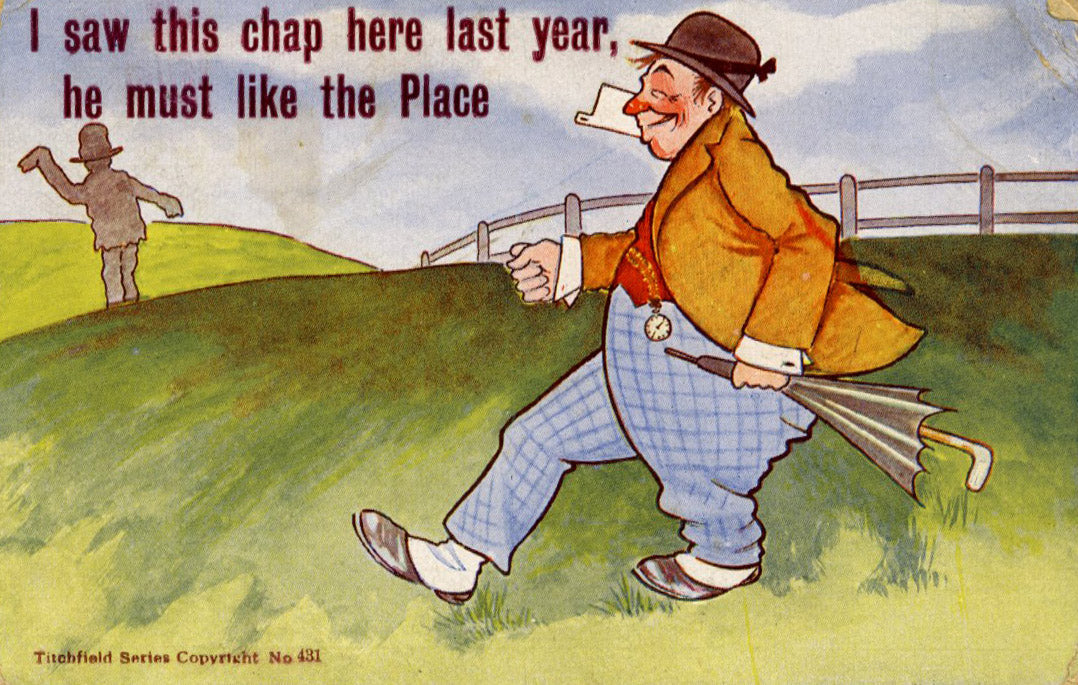 Vintage 'Titchfield Series' Comic Postcard 'I saw this chap here last year'