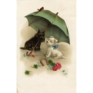 Vintage Dog Illustration Postcard West Highland Terrier Dogs under Umbrella