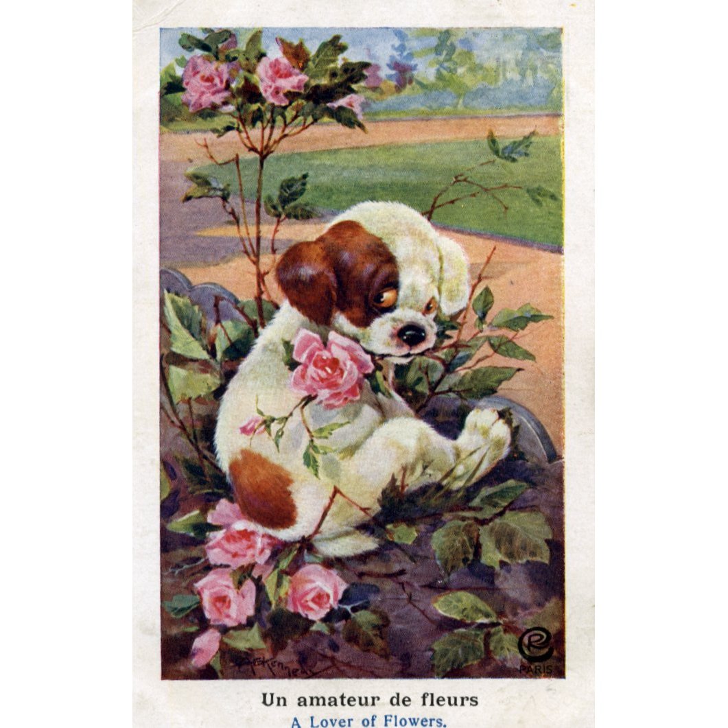 C. W. Faulkner Postcard of Puppy Dog 'A Lover of Flowers'