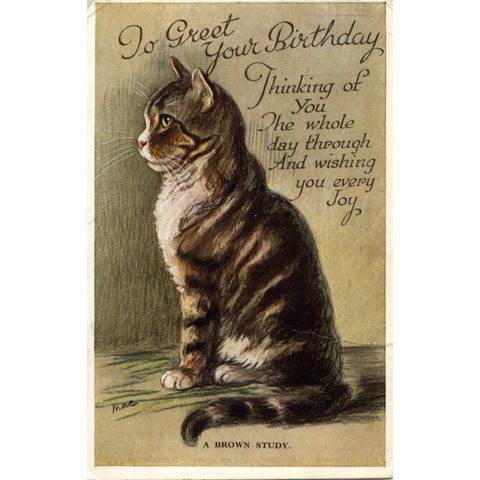 Valentine's 'Mac Cat' Birthday Greetings Cat Postcard 'To Greet your Birthday'