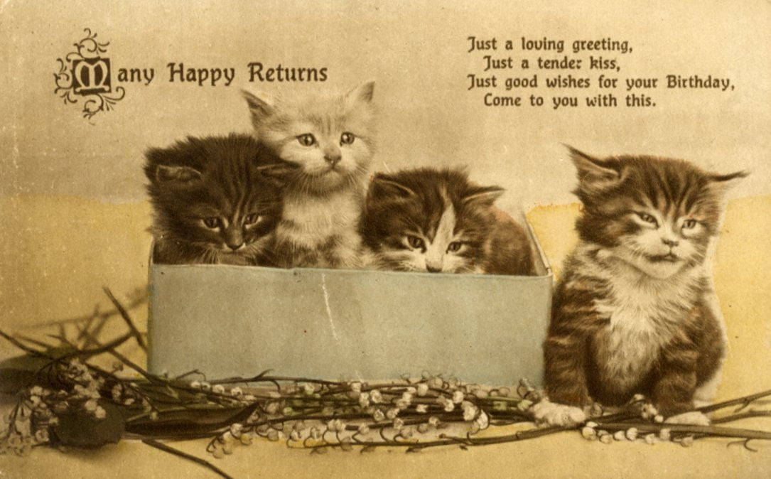 Regent Publishing Co. Birthday Greetings Kittens Postcard, Cat Illustration, 'Many Happy Returns'