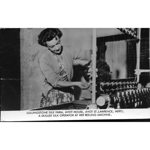 Real Photograph Postcard 'Lullingstone Silk Farm'