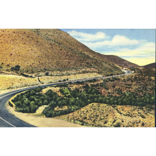 Curteich & Co. 'C.T. Art-Colortone' Linen Postcard 'Climbing the Mountain Side in Guadalupe Canyon'