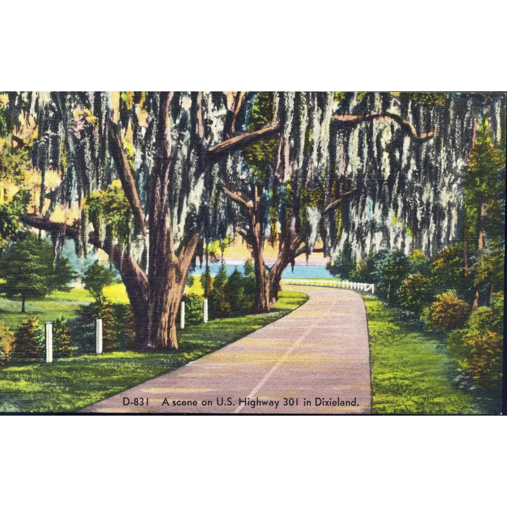 Ashville Postcard Co. Linen Postcard 'A scene on U.S. Highway 301 in Dixieland'