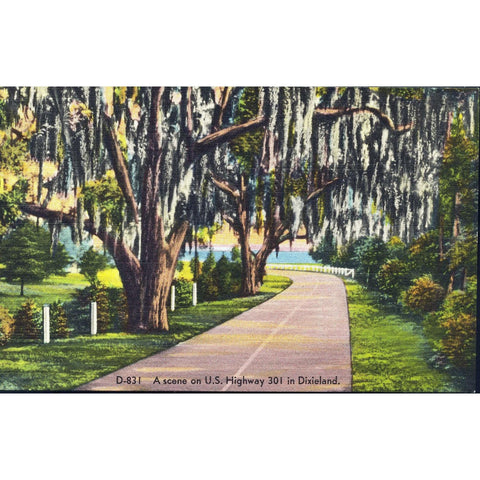 Ashville Postcard Co. Linen Postcard 'A scene on U.S. Highway 301 in Dixieland'