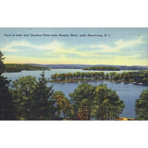 Tichnor Quality Views' Linen Postcard 'View of Lake and Chestnut Point...N.J.'