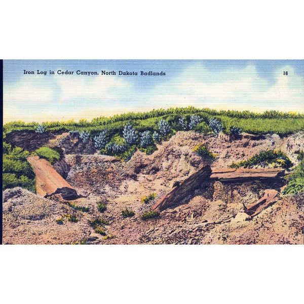 Hafstrom Co. 'Tichnor Quality Views' Linen Postcard 'Iron Log in Cedar Canyon, North Dakota Badlands'