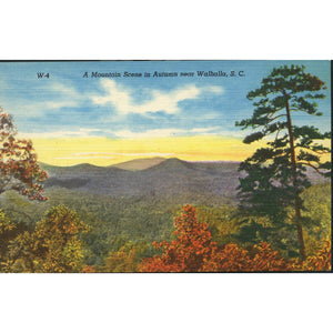 Ashville Post Card Co. linen postcard 'A Mountain Scene in Autumn near Walhalla, S. C.'