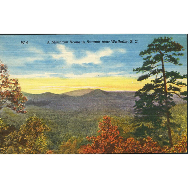 Ashville Post Card Co. linen postcard 'A Mountain Scene in Autumn near Walhalla, S. C.'